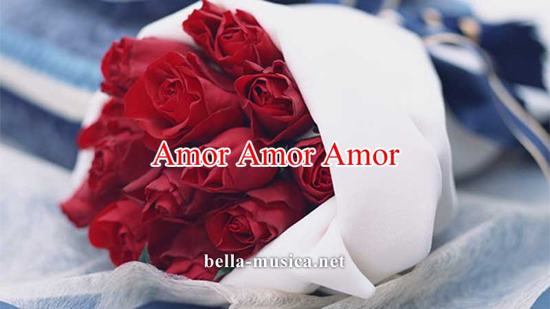《Amor Amor Amor》アモール・アモール・アモールは大人の口説き詩
