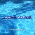 《Aquarela do Brasil》アクアレラ・ド・ブラジルの意味はブラジルの水彩画
